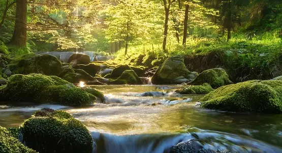 A Balanced Approach to Legal Certainty and Site Transfer for Geologic CO2 Storage